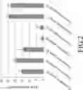 Fig. 03 - Methods for improving gastrointestinal barrier function and inhibiting growth of enteric pathogenic bacteria