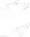 Fig. 320 - SUSTAINED RELEASE DELIVERY SYSTEMS COMPRISING TRACELESS LINKERS