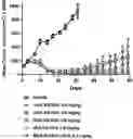 Fig. 01 - ANTI-PSMA CONJUGATES