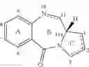 Fig. 08 - ANTI-PSMA CONJUGATES