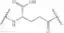 Fig. 29 - ANTI-PSMA CONJUGATES