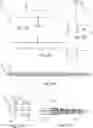 Fig. 09 - DEVICES, SYSTEMS, AND METHODS FOR DELIVERING FLUID TO THE INNER EAR