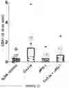 Fig. 16 - System and methods for treating cancer cells with alternating polarity magnetic fields