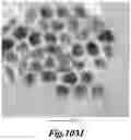 Fig. 35 - NON-INVASIVE ENERGY UPCONVERSION METHODS AND SYSTEMS FOR IN-SITU PHOTOBIOMODULATION