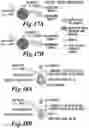 Fig. 48 - NON-INVASIVE ENERGY UPCONVERSION METHODS AND SYSTEMS FOR IN-SITU PHOTOBIOMODULATION