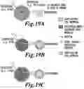 Fig. 49 - NON-INVASIVE ENERGY UPCONVERSION METHODS AND SYSTEMS FOR IN-SITU PHOTOBIOMODULATION