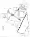 Fig. 02 - Golf bag having lightweight top frame with three-dimensional printed structures