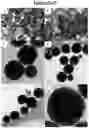 Fig. 05 - Methods for catalytically reducing a nitro compound