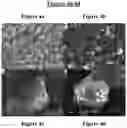 Fig. 07 - Methods for catalytically reducing a nitro compound