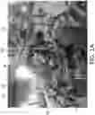 Fig. 02 - Automatic wood flooring boards reparation device and method thereof