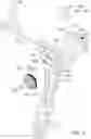 Fig. 09 - Rapid adjustable wrench