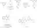 Fig. 1349 - Notch Inhibitors and Uses Thereof