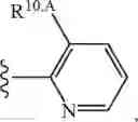 Fig. 482 - Notch Inhibitors and Uses Thereof