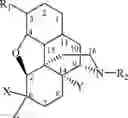 Fig. 06 - HALOGENATED DERIVATIVES OF MORPHINANS AND USES THEREOF