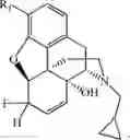 Fig. 123 - HALOGENATED DERIVATIVES OF MORPHINANS AND USES THEREOF