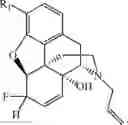 Fig. 124 - HALOGENATED DERIVATIVES OF MORPHINANS AND USES THEREOF