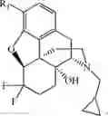 Fig. 127 - HALOGENATED DERIVATIVES OF MORPHINANS AND USES THEREOF