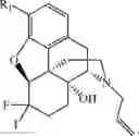 Fig. 128 - HALOGENATED DERIVATIVES OF MORPHINANS AND USES THEREOF