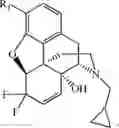 Fig. 131 - HALOGENATED DERIVATIVES OF MORPHINANS AND USES THEREOF