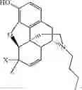 Fig. 142 - HALOGENATED DERIVATIVES OF MORPHINANS AND USES THEREOF