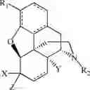 Fig. 60 - HALOGENATED DERIVATIVES OF MORPHINANS AND USES THEREOF