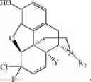 Fig. 80 - HALOGENATED DERIVATIVES OF MORPHINANS AND USES THEREOF