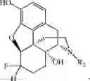 Fig. 89 - HALOGENATED DERIVATIVES OF MORPHINANS AND USES THEREOF