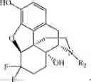 Fig. 90 - HALOGENATED DERIVATIVES OF MORPHINANS AND USES THEREOF