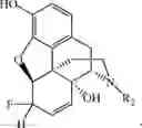 Fig. 91 - HALOGENATED DERIVATIVES OF MORPHINANS AND USES THEREOF