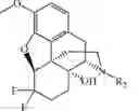 Fig. 94 - HALOGENATED DERIVATIVES OF MORPHINANS AND USES THEREOF