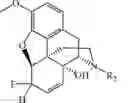 Fig. 95 - HALOGENATED DERIVATIVES OF MORPHINANS AND USES THEREOF