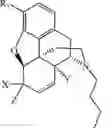 Fig. 99 - HALOGENATED DERIVATIVES OF MORPHINANS AND USES THEREOF