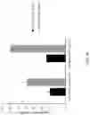 Fig. 19 - METHOD OF MANUFACTURING MICRODEVICES FOR LAB-ON-CHIP APPLICATIONS