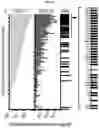 Fig. 06 - Methods for detecting respiratory viral infection