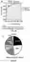 Fig. 07 - Methods for detecting respiratory viral infection