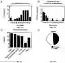 Fig. 09 - Methods for detecting respiratory viral infection