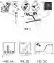 Fig. 02 - IMPROVEMENTS IN OR RELATING TO AN APPARATUS FOR CHARACTERISING A COMPONENT