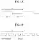 Fig. 02 - Apparatus and method for driving display