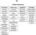 Fig. 03 - Adjusted Polygenic Risk Score Calculation Algorithm and Process