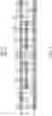 Fig. 05 - Layout pattern of static random access memory