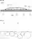 Fig. 07 - Light-emitting device and method of manufacturing the same