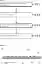 Fig. 08 - Light-emitting device and method of manufacturing the same