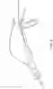 Fig. 06 - Adjustment Devices for Positioning a Uterine Manipulator