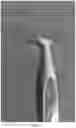 Fig. 06 - DOUBLE-ENDED ORAL CARE DEVICE WITH INTERCHANGEABLE SNAP-ON FLOSSERS AND DISPOSABLE IMPLEMENTS