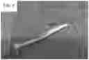 Fig. 09 - DOUBLE-ENDED ORAL CARE DEVICE WITH INTERCHANGEABLE SNAP-ON FLOSSERS AND DISPOSABLE IMPLEMENTS