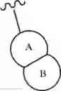 Fig. 167 - MONO- AND COMBINATION THERAPIES