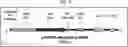 Fig. 05 - COMPOSITIONS USEFUL IN TREATMENT OF KRABBE DISEASE