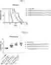Fig. 09 - COMPOSITIONS USEFUL IN TREATMENT OF KRABBE DISEASE