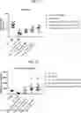 Fig. 10 - COMPOSITIONS USEFUL IN TREATMENT OF KRABBE DISEASE