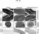 Fig. 44 - COMPOSITIONS USEFUL IN TREATMENT OF KRABBE DISEASE